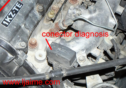 Conector diagnosis