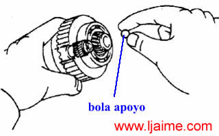 Bola apoyo 2